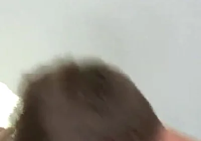 Tristan Stiles Fucks Rob Ryder
