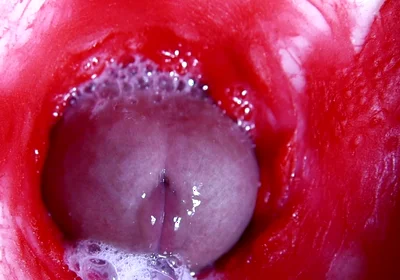 Hot Wet Sexy Hole and Sloppy Big Cock