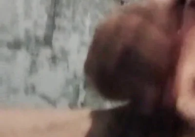 A Rare Sensation on the Cock