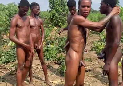 The Corn Shoot Surprise Everyone Is Talking About
