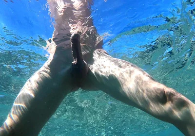 Boner in the Waves - Different Perspective!