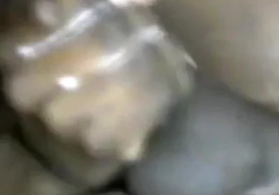 Stroking My BBC Fingering My Arsehole Cumming Hard