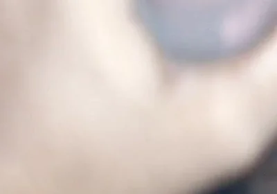 Desi Solo