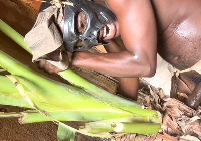 African Jujujar Bangcum