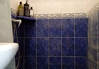 Shower Party with a Cumshot
