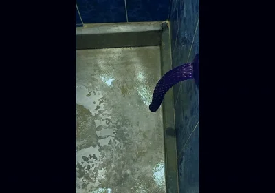 Back in the Shower, Playing with My Anus Again...