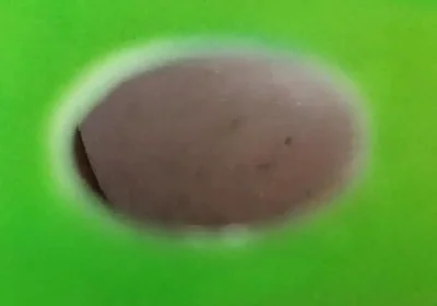 You Can See My Ass Through the Holes in the Green Screen