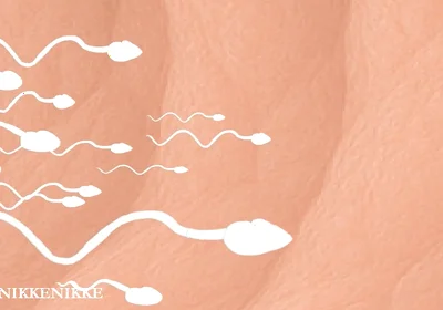 Yaoi: Spermtazoid Game: Level up in Her Stuffed Little Ass