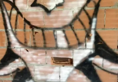 Amateur Boy Caught Bare Ass in Abandoned Building