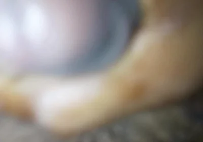 New Video