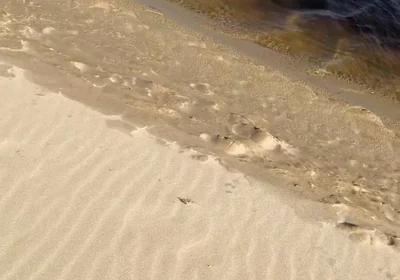 Beach Walk