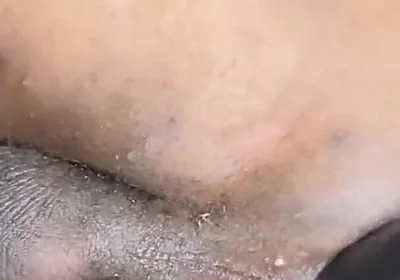 Enjoyed This BBC