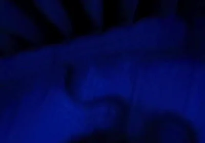 Blue Romance, Blowjob From a Sensual Blonde