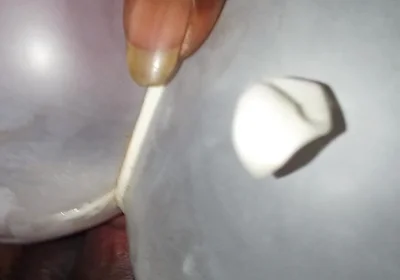 Thick Dick Adventures