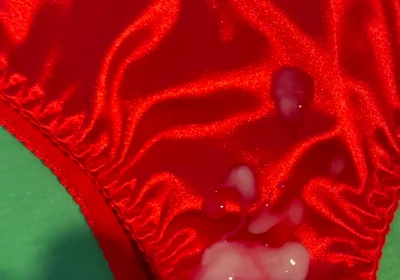 Cum on Wife’s Panties 15