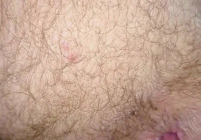 Eat My Ass and Drink My Nut