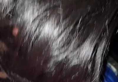 Sexy Bus 🚌 Stop Sagger Sucked up - Just for Fans Wondahead21