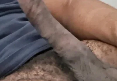 My Dick Is so Fucking Stiff!