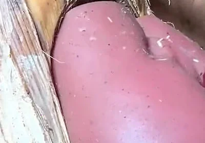 The Prisoner Find Hard Way to Sex
