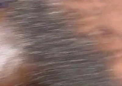 Femboy Fuck Big Pussy Cream