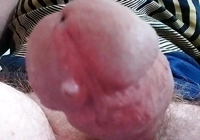 Let Cock Be Your Guide