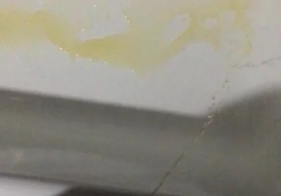 Peeing in the Bathtub