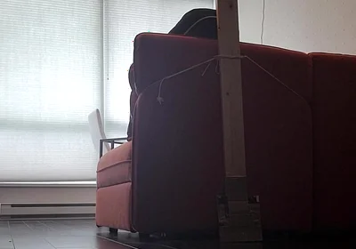 Trying to Learn Something New