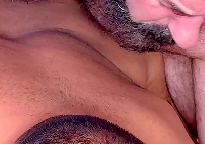 Bear Territory 1 4K