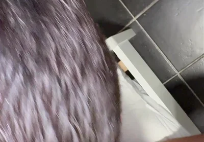 Fucked by the Black Cock