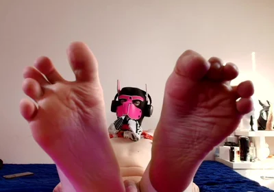 Paws Took Over Your Screen