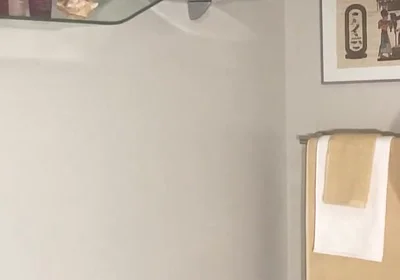 Enema Bathroom Suite 2