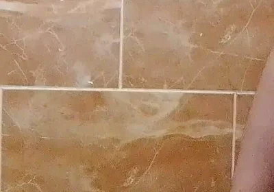 I Made a Video in the Toilet While Taking a Shower.