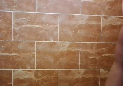 I Made a Video in the Toilet While Taking a Shower.