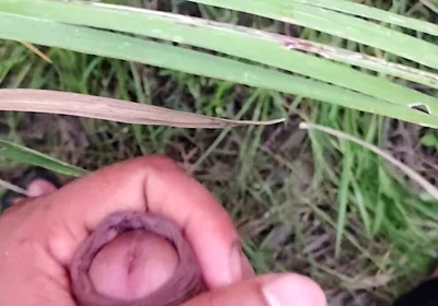 Masturbating in the Sugarcane Field