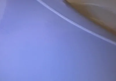 White Wrestlingsuit Shows Everything