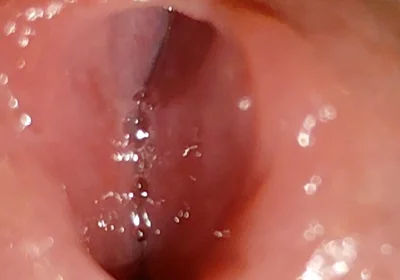 Wide and Deep, Irresistible Damp Hole!