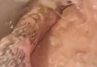 Splash
