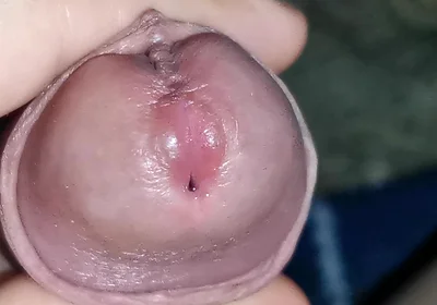 I Got Lost in the Amazon Jungle