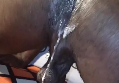 Muscline Hairy Big Black Cock Hairy Ass