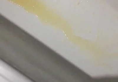 Peeing in the Bathtub
