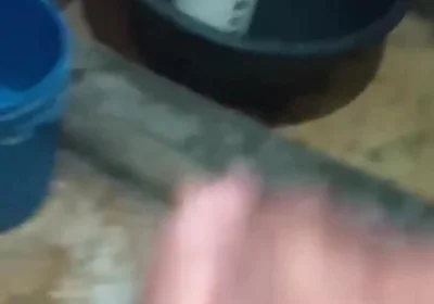 Masturbation