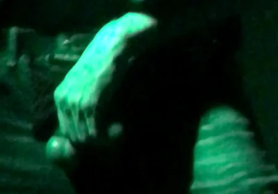 Young Jock Guy Masterbates in Club
