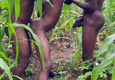 How I Had Sex with This Thuggish Guy with Huge Long Dick Inside a Corn Farm Land