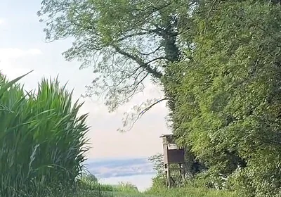 Risky Bwc Stroking Outdoors on Meadow with Lake View - Big Cumshot