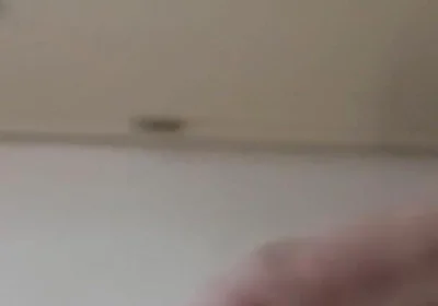 Quick Tease