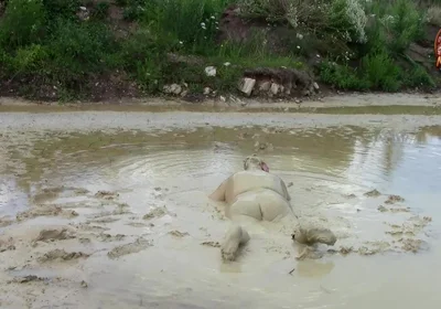Me Playing in Deep Light Mud