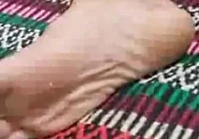 Cock and Feet 7