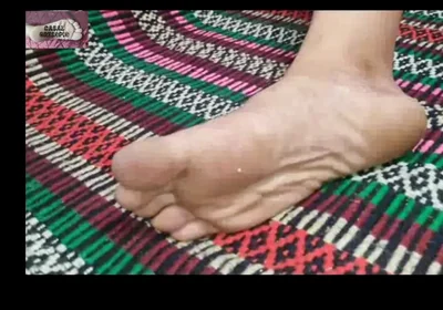 Cock and Feet 7