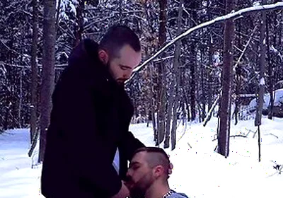 Two Straight Bearded Pig Unloading Their Balls In The Snowy Fields