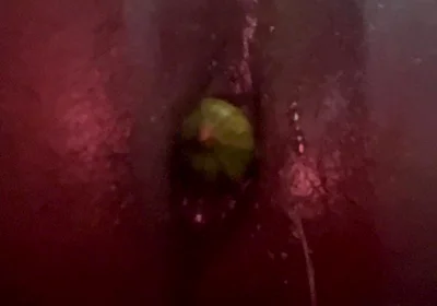 My Ass Is so Big